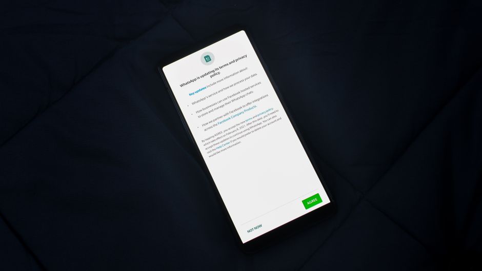 Close-up of smartphone screen showing a privacy policy update agreement.